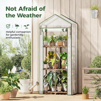 Bamworld Greenhouse for Outdoors Small Plant Green House 3-Tier Rack Stand Portable