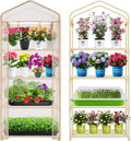 Purlyu 4-Tier Mini Greenhouse – Indoor or Outdoor Gardening Hot House